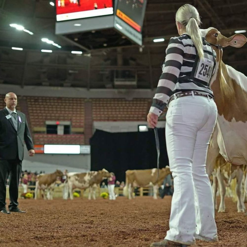 Meet your Posher, Kate